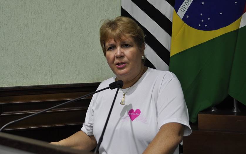 Foto: Assessoria de Imprensa/Câmara