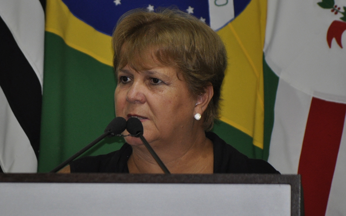 Foto: Assessoria de Imprensa / Câmara