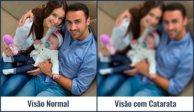 fc758038-7cfb-487b-8e1c-68fbaa338eea